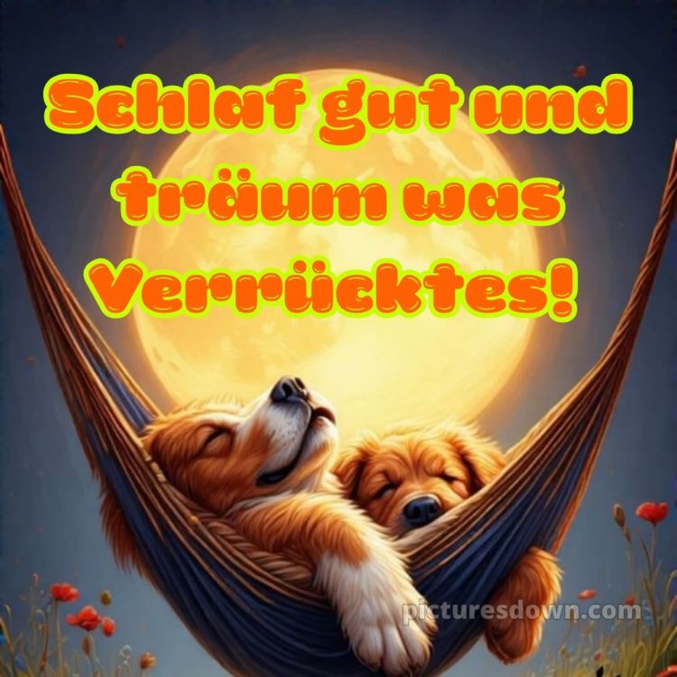 Gute nacht montag lustig bild 13 kostenlos