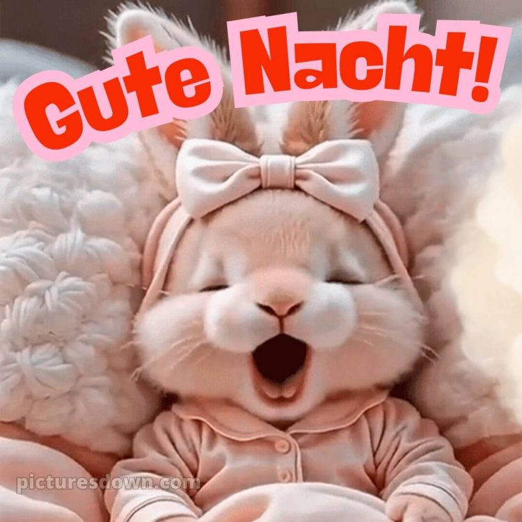 Gute nacht montag lustig bild 5 kostenlos