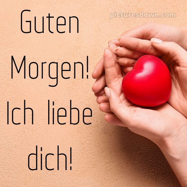 Guten morgen bilder ich liebe dich bild 11 kostenlos
