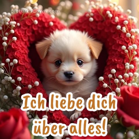 Ich liebe dich bilder kostenlos bild 8 kostenlos