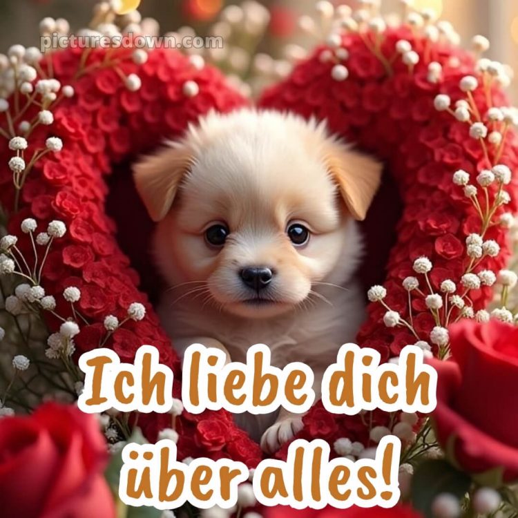 Ich liebe dich bilder kostenlos bild 8 kostenlos