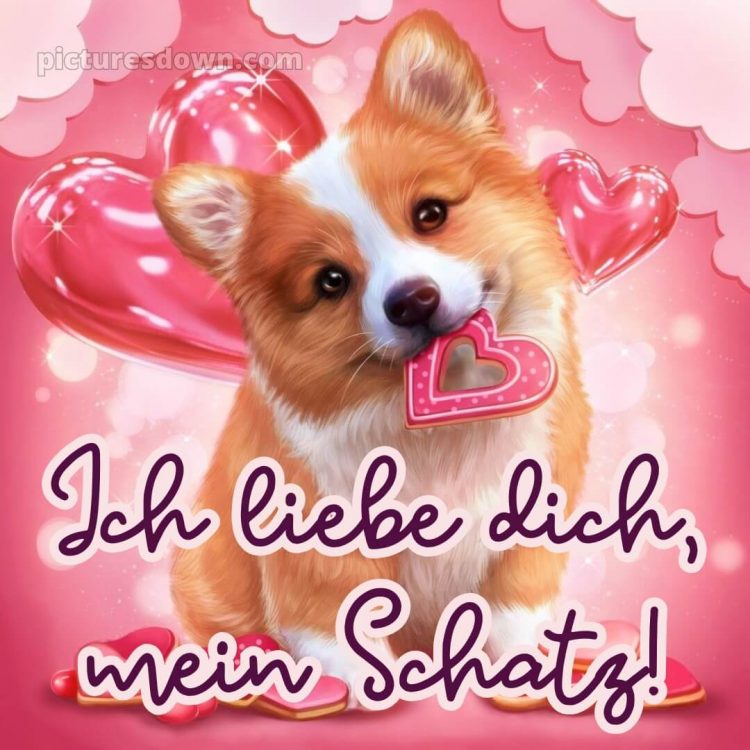 Ich liebe dich mein schatz bilder bild 3 kostenlos