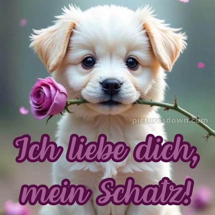 Ich liebe dich mein schatz bilder bild 6 kostenlos