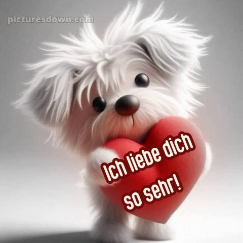 Ich liebe dich so sehr bilder bild 14 kostenlos