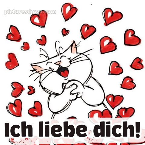Ich liebe dich von ganzem herzen bilder bild 9 kostenlos