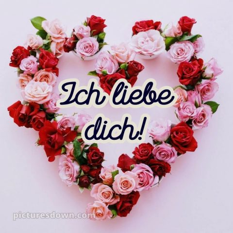 Schatz ich liebe dich von ganzem herzen bilder bild 4 kostenlos
