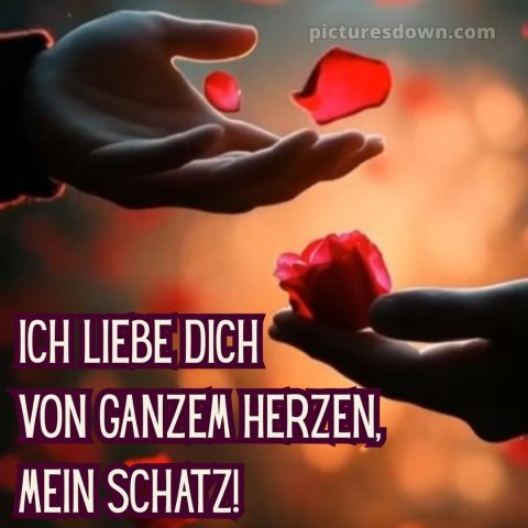 Schatz ich liebe dich von ganzem herzen bilder bild 9 kostenlos