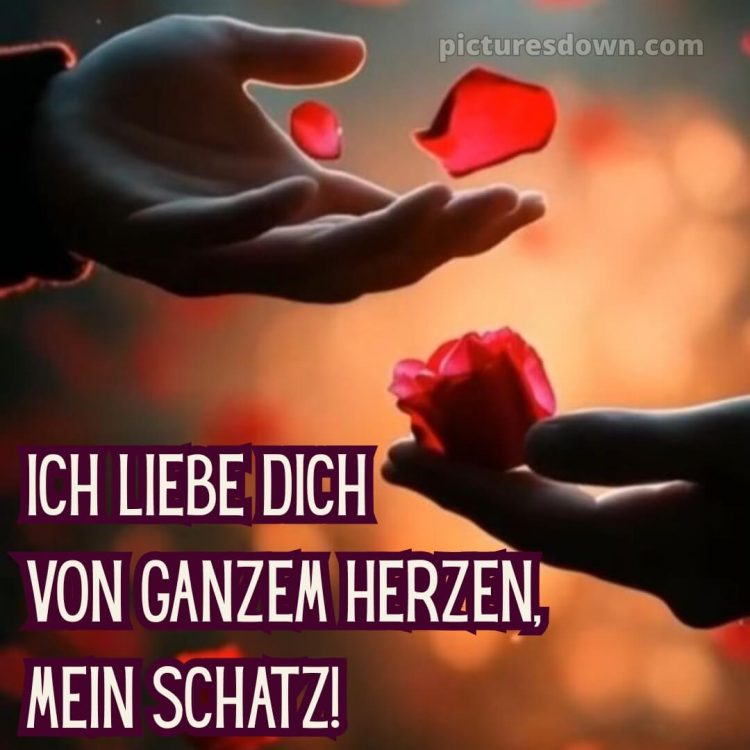 Schatz ich liebe dich von ganzem herzen bilder bild 9 kostenlos