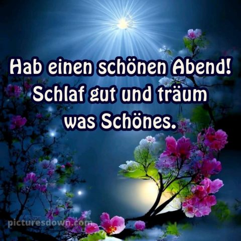 Schönen dienstag abend und später eine gute nacht bild 10 kostenlos
