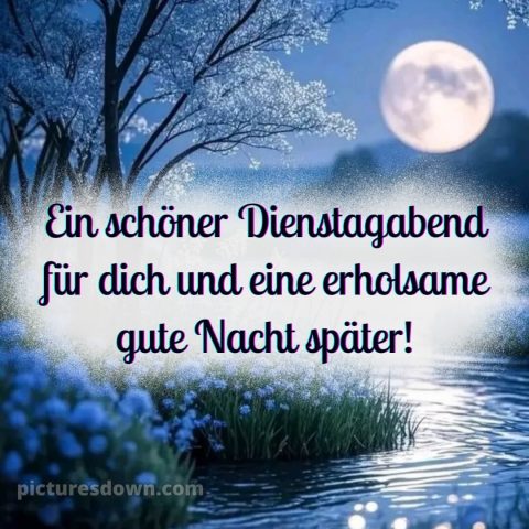 Schönen dienstag abend und später eine gute nacht bild 12 kostenlos
