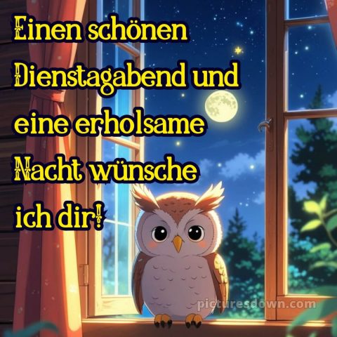 Schönen dienstag abend und später eine gute nacht bild 15 kostenlos