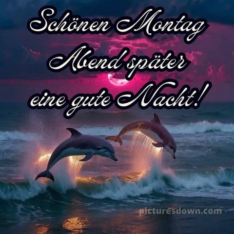 Schönen montag abend später eine gute nacht bild 10 kostenlos