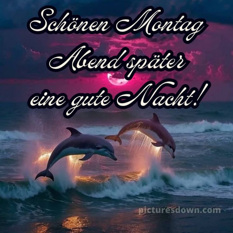 Schönen montag abend später eine gute nacht bild 10 kostenlos