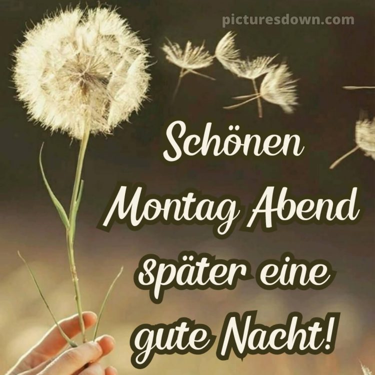 Schönen montag abend später eine gute nacht bild 13 kostenlos