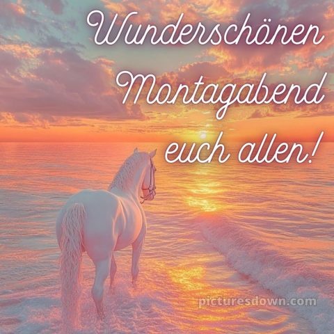 Schönen montag abend später eine gute nacht bild 14 kostenlos