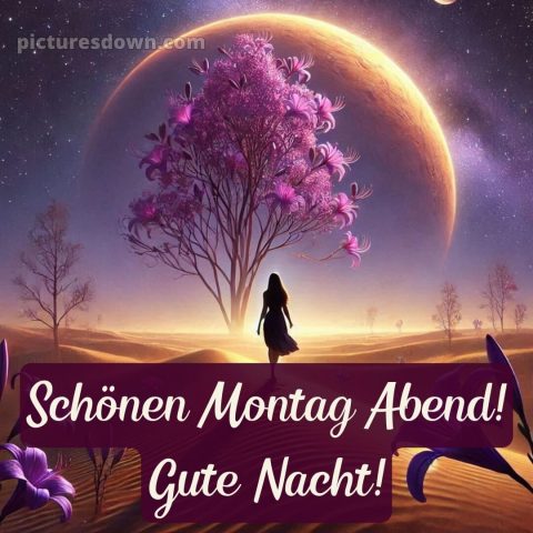 Schönen montag abend und später eine gute nacht bild 12 kostenlos