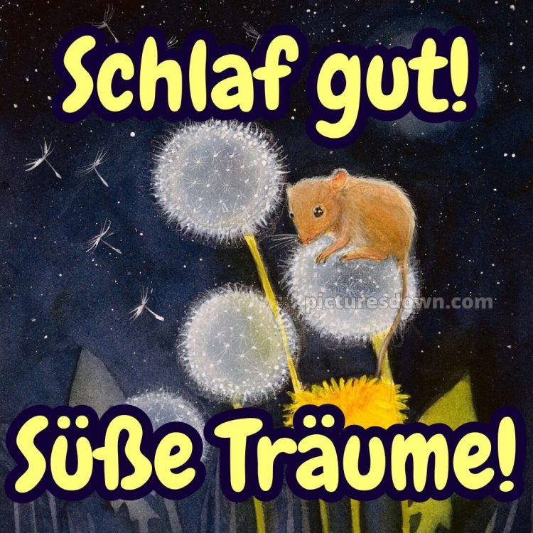 Freitag abend gute nacht bilder kostenlos bild 14 kostenlos