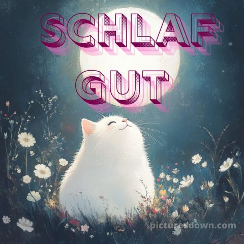 Freitag abend gute nacht bilder kostenlos bild 5 kostenlos