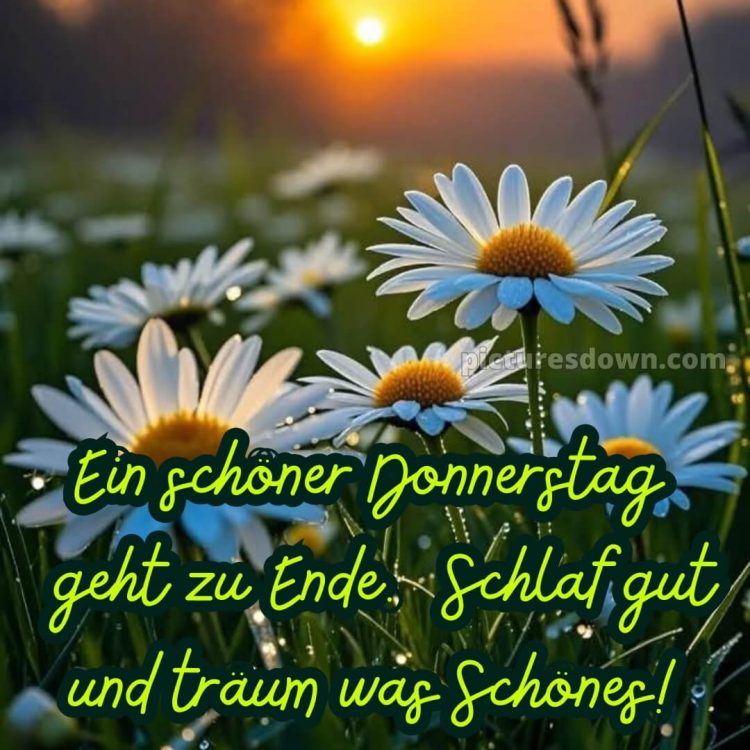 Gute nacht bilder donnerstag bild 13 kostenlos