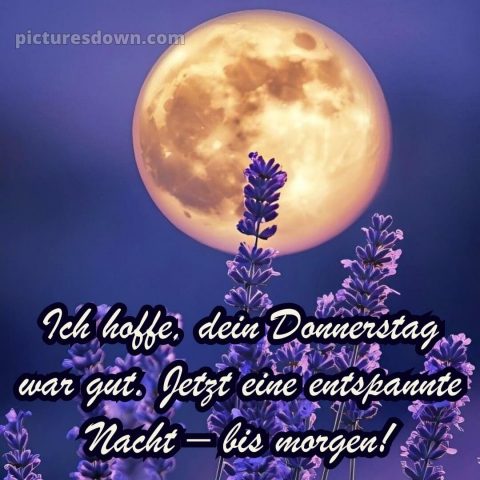 Gute nacht bilder donnerstag bild 14 kostenlos