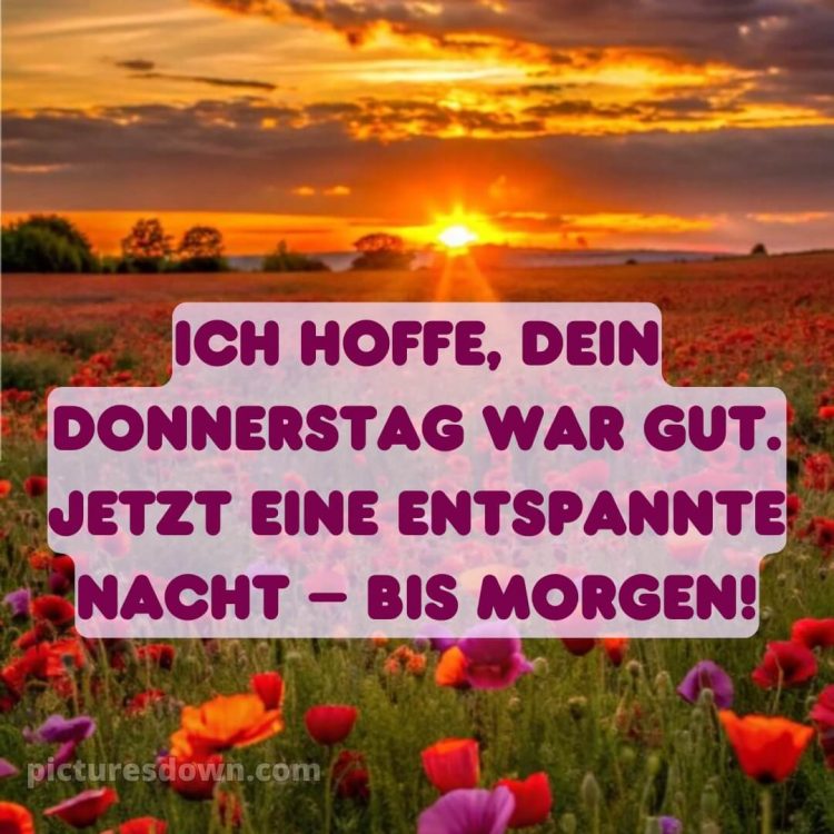 Gute nacht bilder donnerstag bild 6 kostenlos