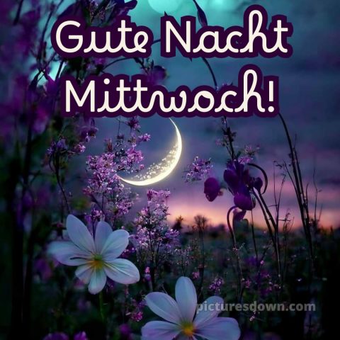 Gute nacht bilder mittwoch bild 1 kostenlos
