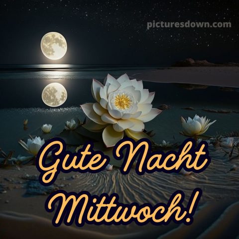 Gute nacht bilder mittwoch bild 10 kostenlos