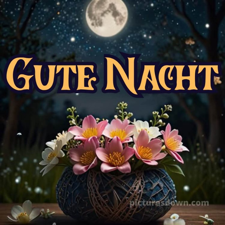 Gute nacht bilder mittwoch bild 11 kostenlos