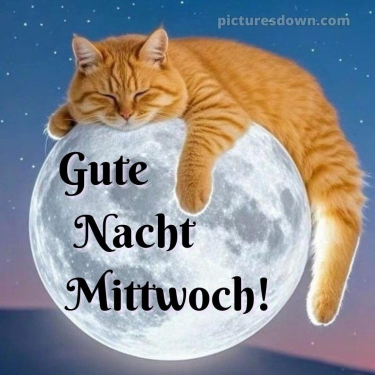 Gute nacht bilder mittwoch bild 12 kostenlos