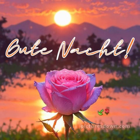 Gute nacht bilder mittwoch bild 5 kostenlos