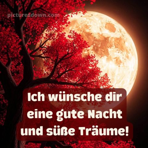 Gute nacht dienstag bilder bild 1 kostenlos
