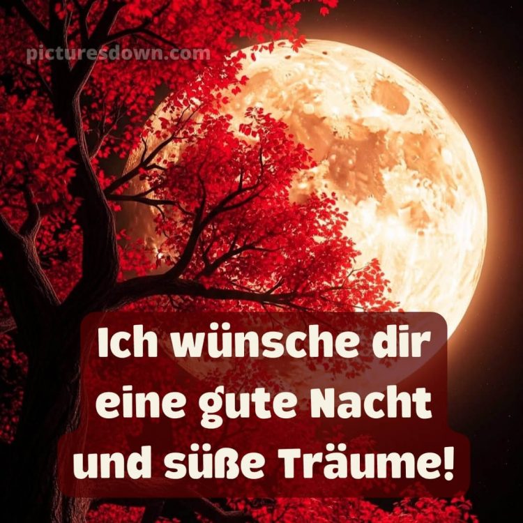 Gute nacht dienstag bilder bild 1 kostenlos