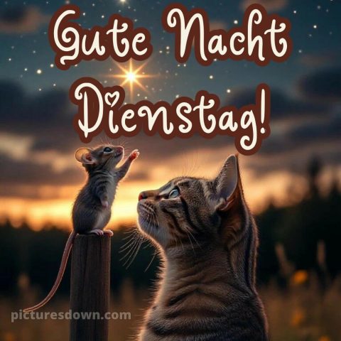 Gute nacht dienstag bilder bild 10 kostenlos