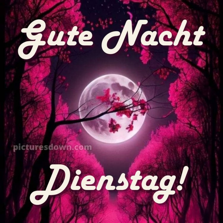 Gute nacht dienstag bilder bild 13 kostenlos
