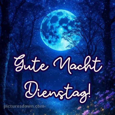 Gute nacht dienstag bilder bild 14 kostenlos