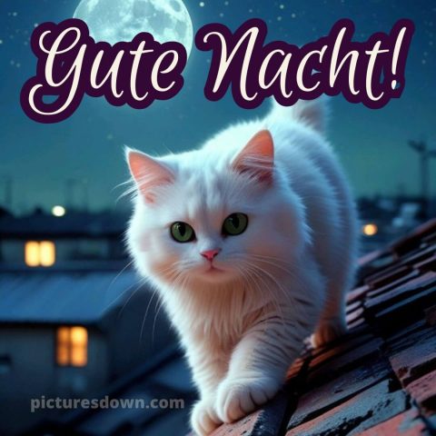 Gute nacht dienstag bilder bild 15 kostenlos