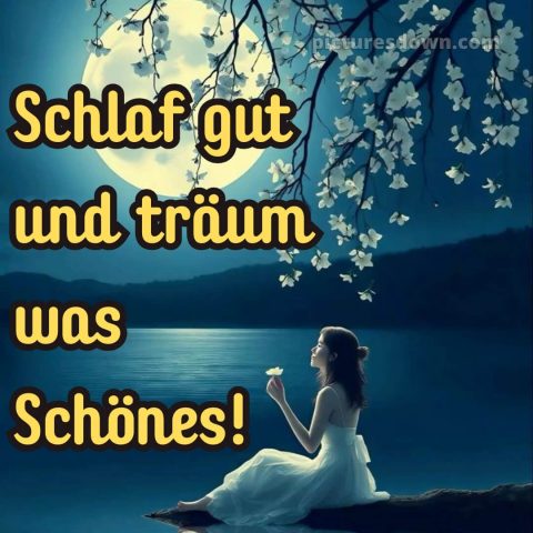 Gute nacht dienstag bilder bild 2 kostenlos