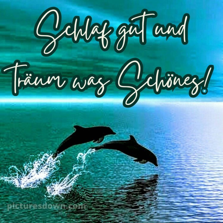 Gute nacht dienstag bilder bild 5 kostenlos