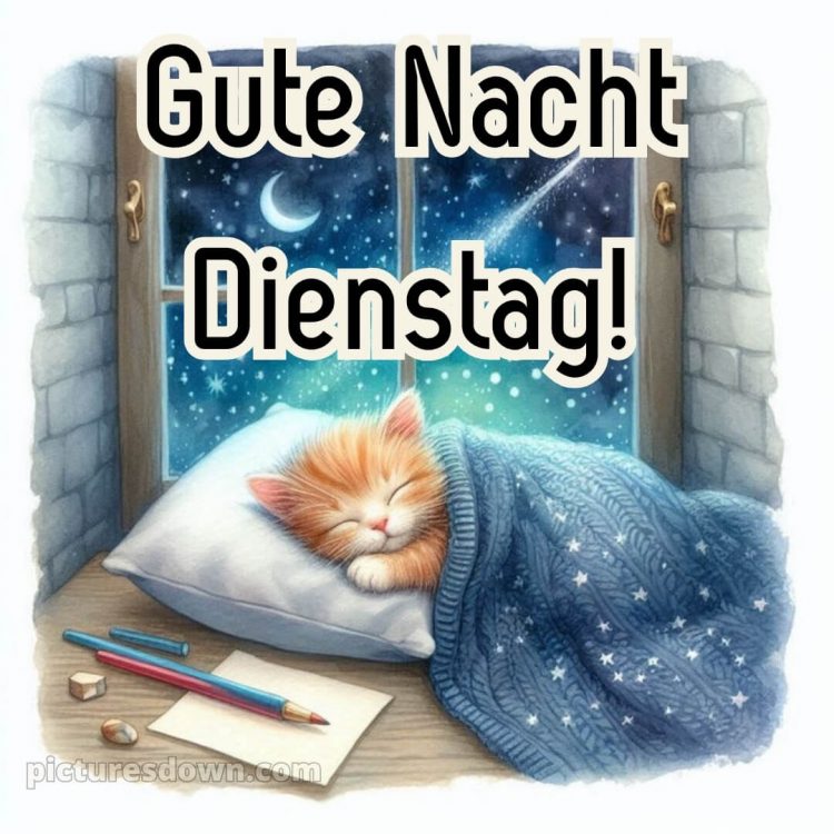 Gute nacht dienstag bilder bild 6 kostenlos