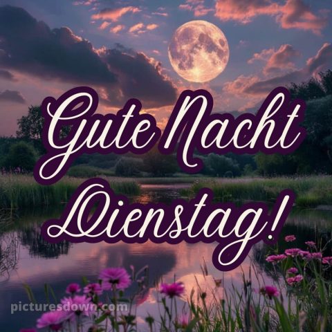 Gute nacht dienstag bilder bild 8 kostenlos