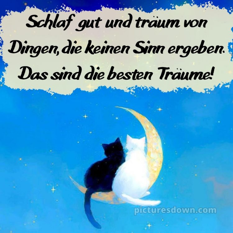 Gute nacht dienstag lustig bild 1 kostenlos