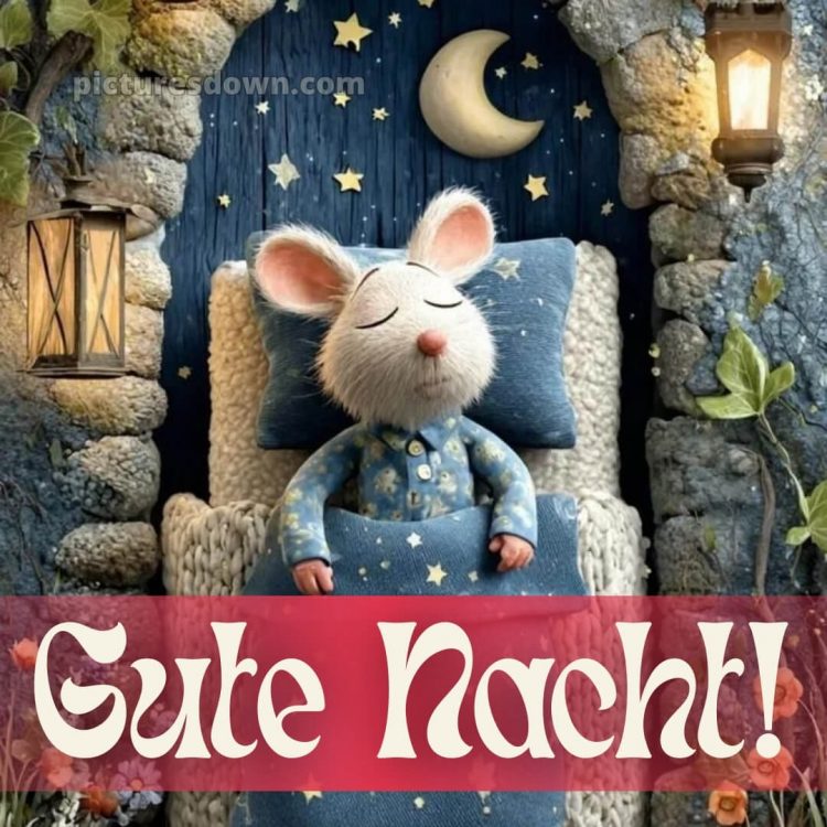 Gute nacht dienstag lustig bild 10 kostenlos