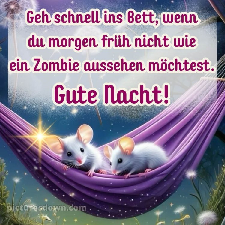 Gute nacht dienstag lustig bild 11 kostenlos