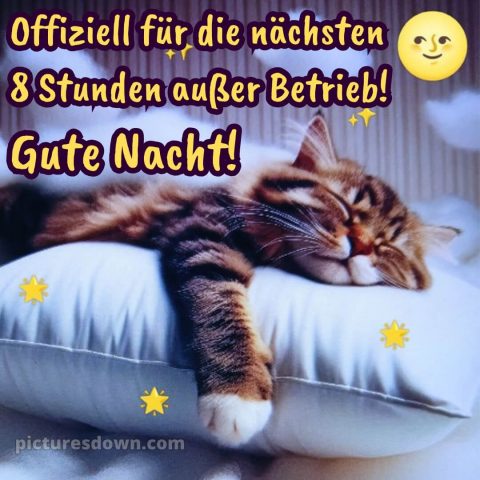 Gute nacht dienstag lustig bild 12 kostenlos