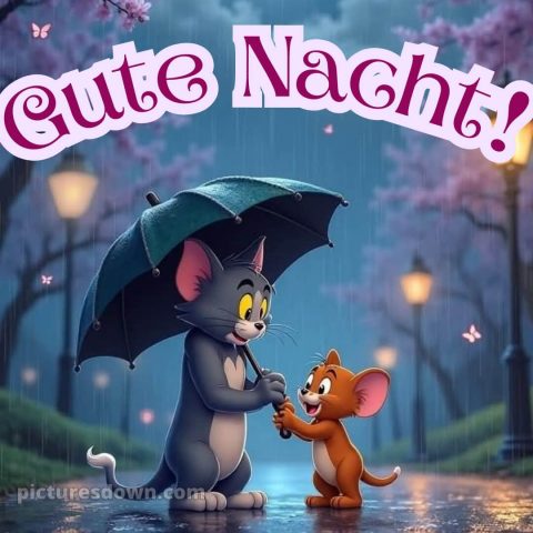 Gute nacht dienstag lustig bild 13 kostenlos