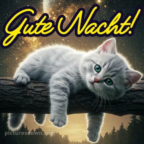 Gute nacht dienstag lustig bild 15 kostenlos