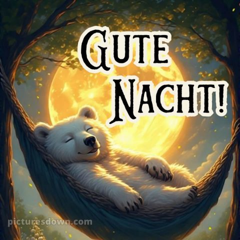 Gute nacht dienstag lustig bild 6 kostenlos