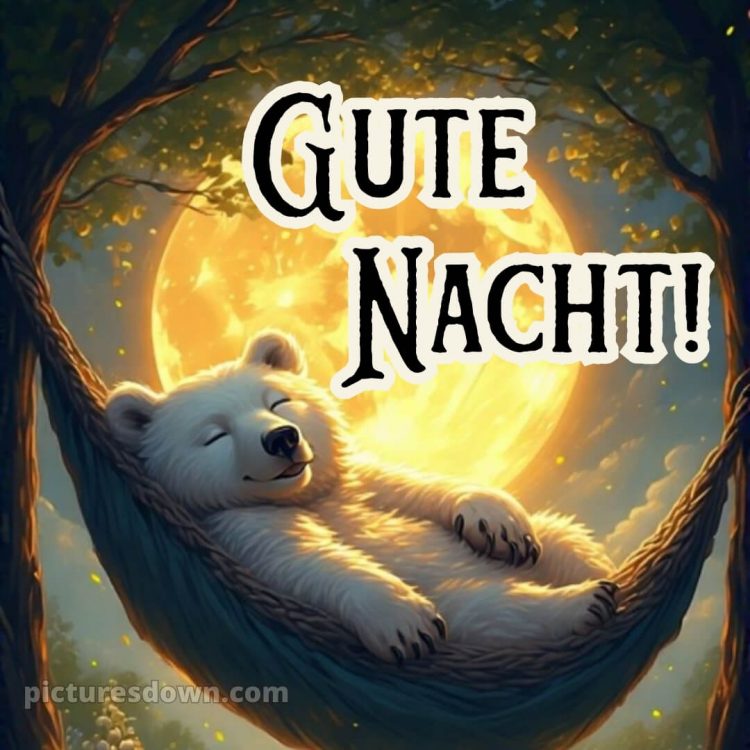 Gute nacht dienstag lustig bild 6 kostenlos