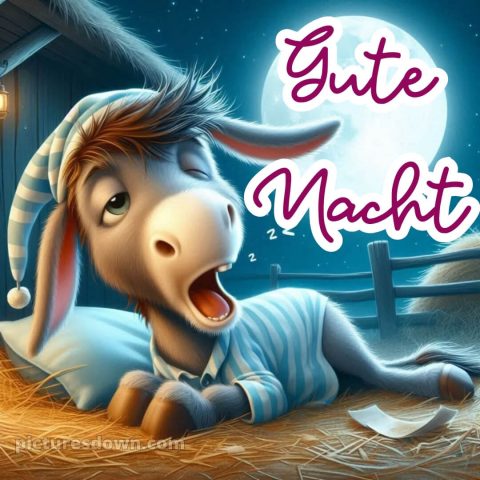 Gute nacht dienstag lustig bild 7 kostenlos