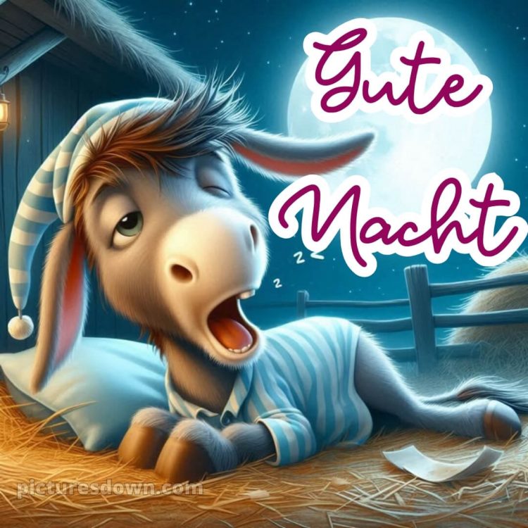 Gute nacht dienstag lustig bild 7 kostenlos